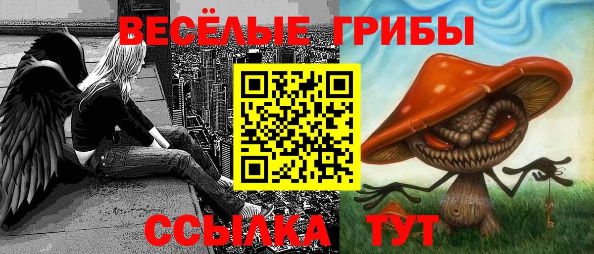 Галлюциногенные грибы Magic Shrooms Ковров